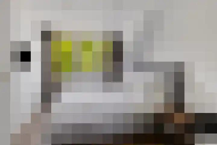 Dorpsstraat 92 Ouderkerk aan den IJssel thumbnail 15