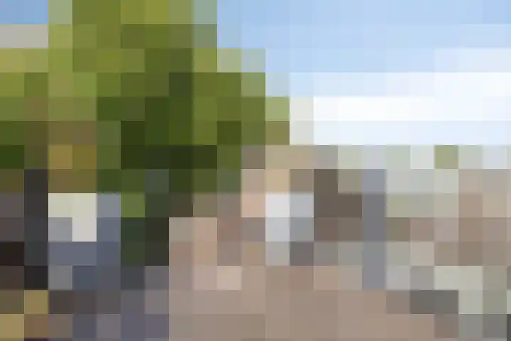Dorpsstraat 92 Ouderkerk aan den IJssel thumbnail 18