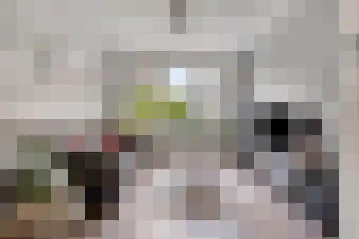 Dorpsstraat 92 Ouderkerk aan den IJssel thumbnail 7