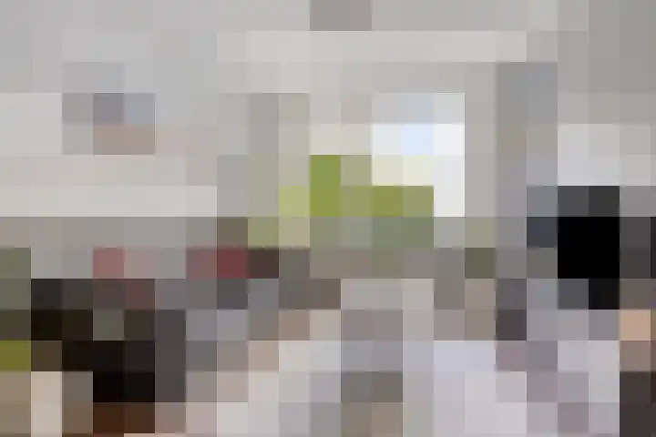 Dorpsstraat 92 Ouderkerk aan den IJssel thumbnail 8