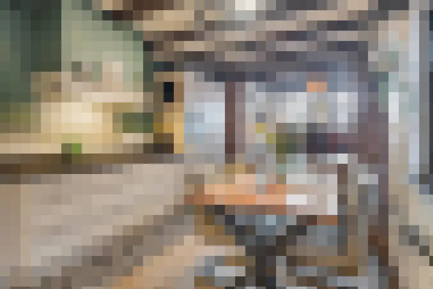 Dorpsstraat 92 Wemeldinge thumbnail 16