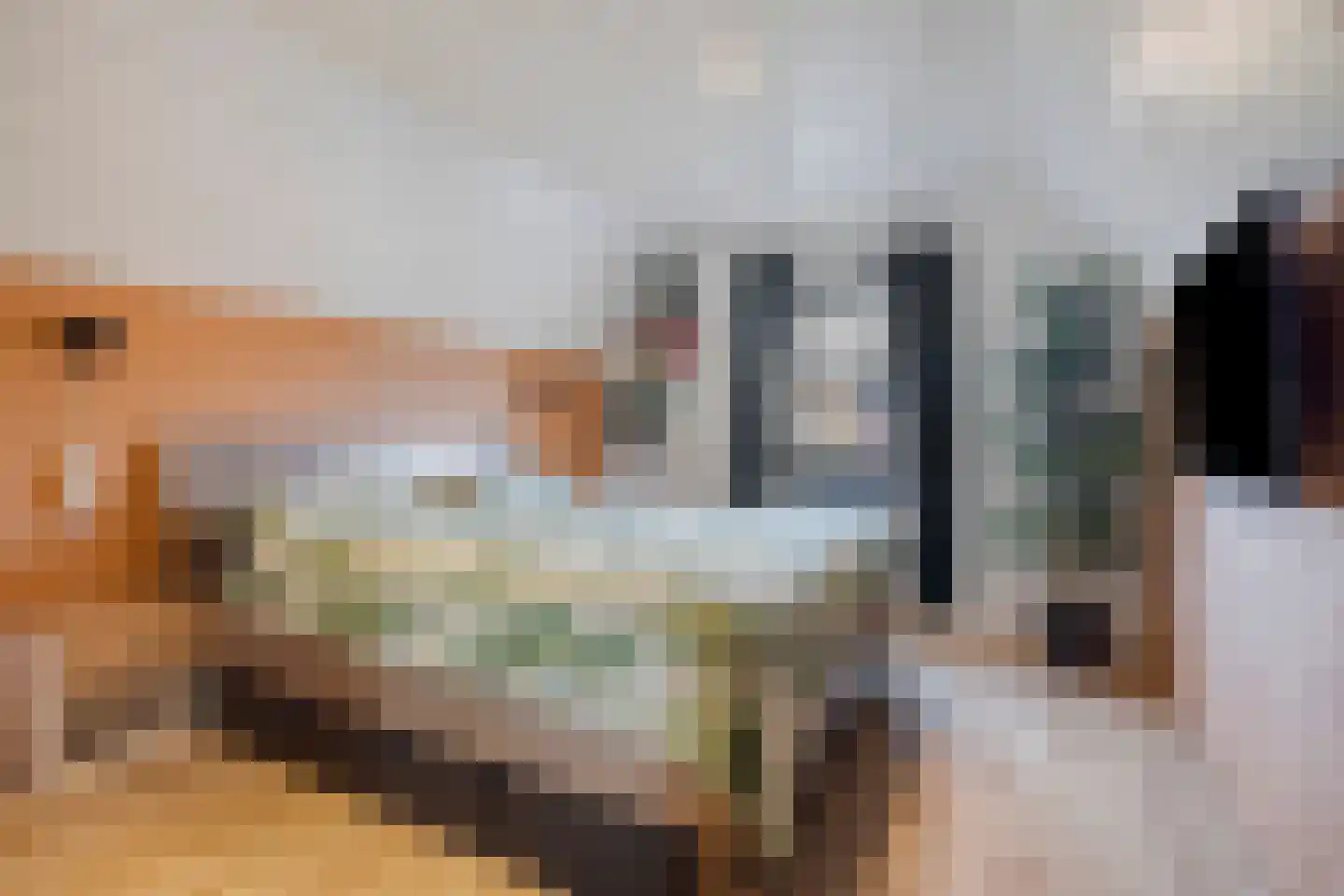 Dorpsstraat 92 Wemeldinge thumbnail 30