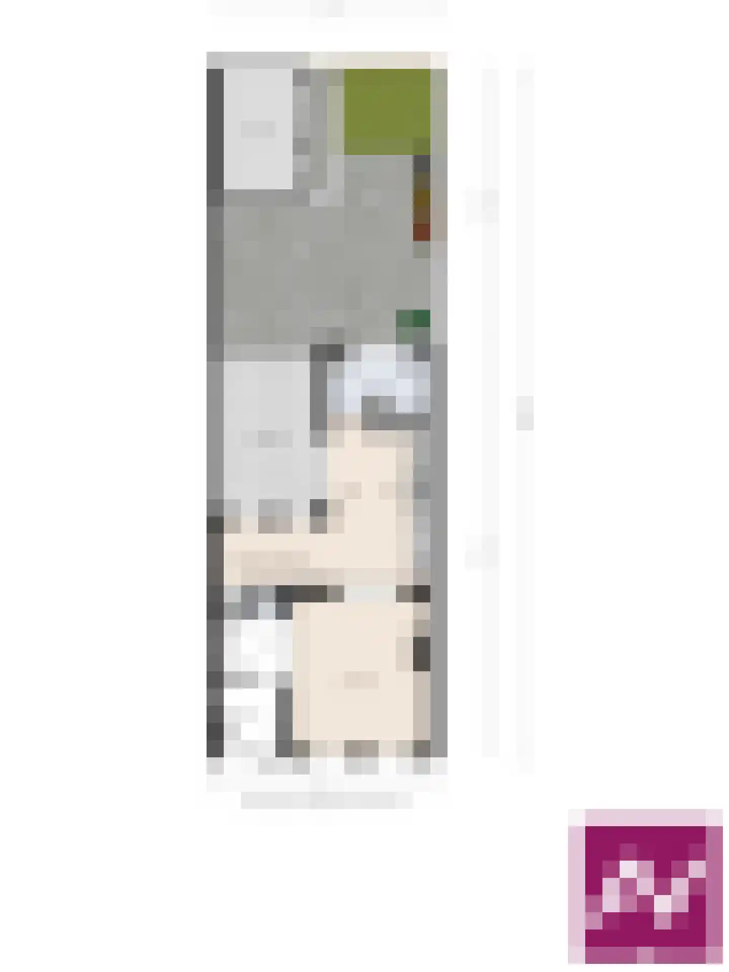 Dorpsstraat 92 Wemeldinge thumbnail 47