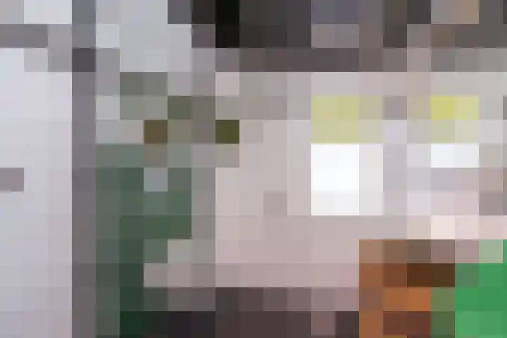 Dorpsstraat 92 Wervershoof thumbnail 34