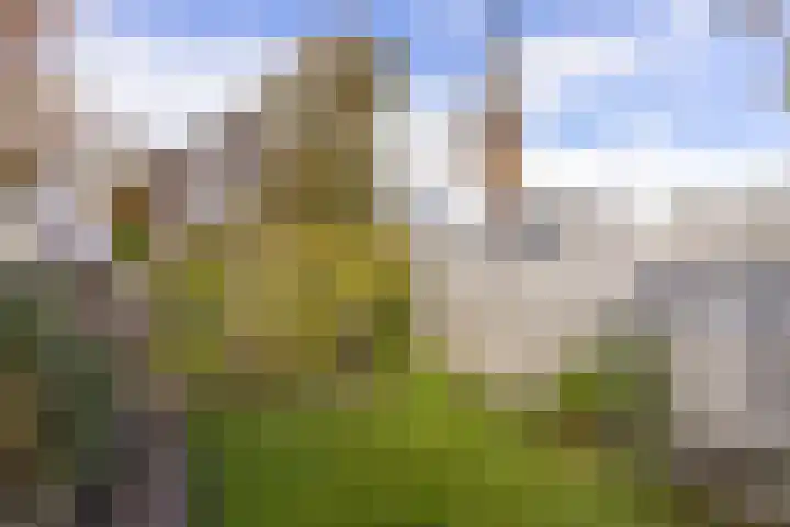 Dorpsstraat 92 Wervershoof thumbnail 36
