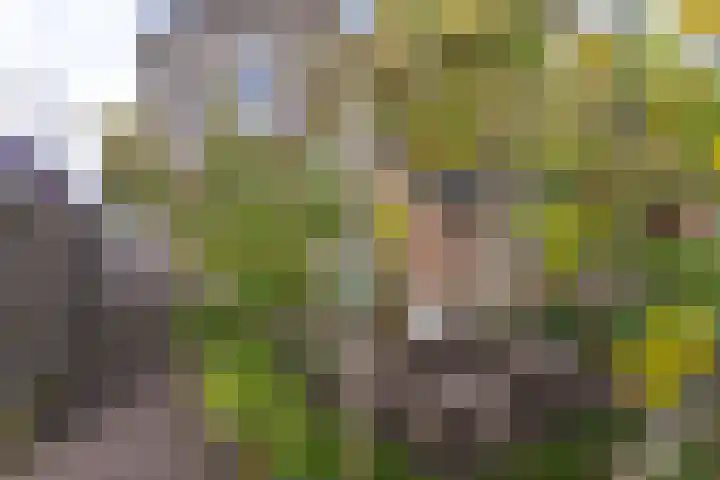 Dorpsstraat 92 Wervershoof thumbnail 37