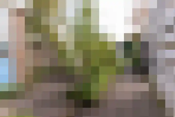 Dorpsstraat 92 Wervershoof thumbnail 38