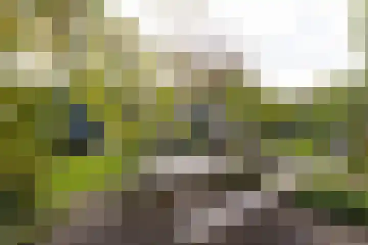 Dorpsstraat 92 Wervershoof thumbnail 39