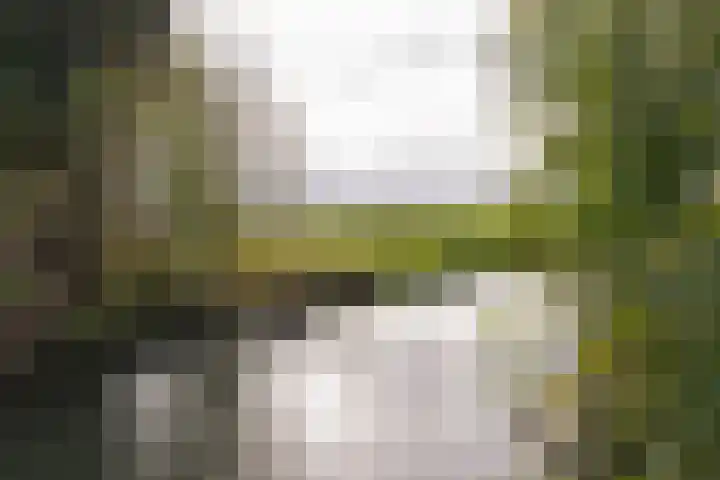 Dorpsstraat 92 Wervershoof thumbnail 43