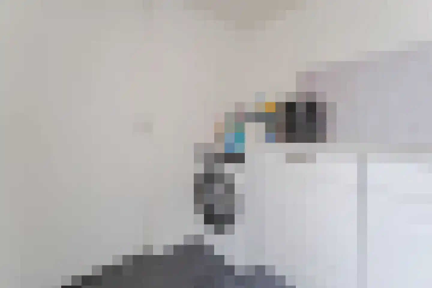 Dorpsstraat 929 Assendelft thumbnail 24
