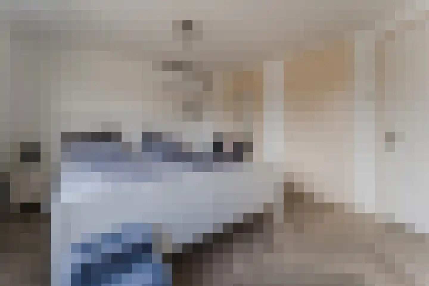Dorpsstraat 929 Assendelft thumbnail 32