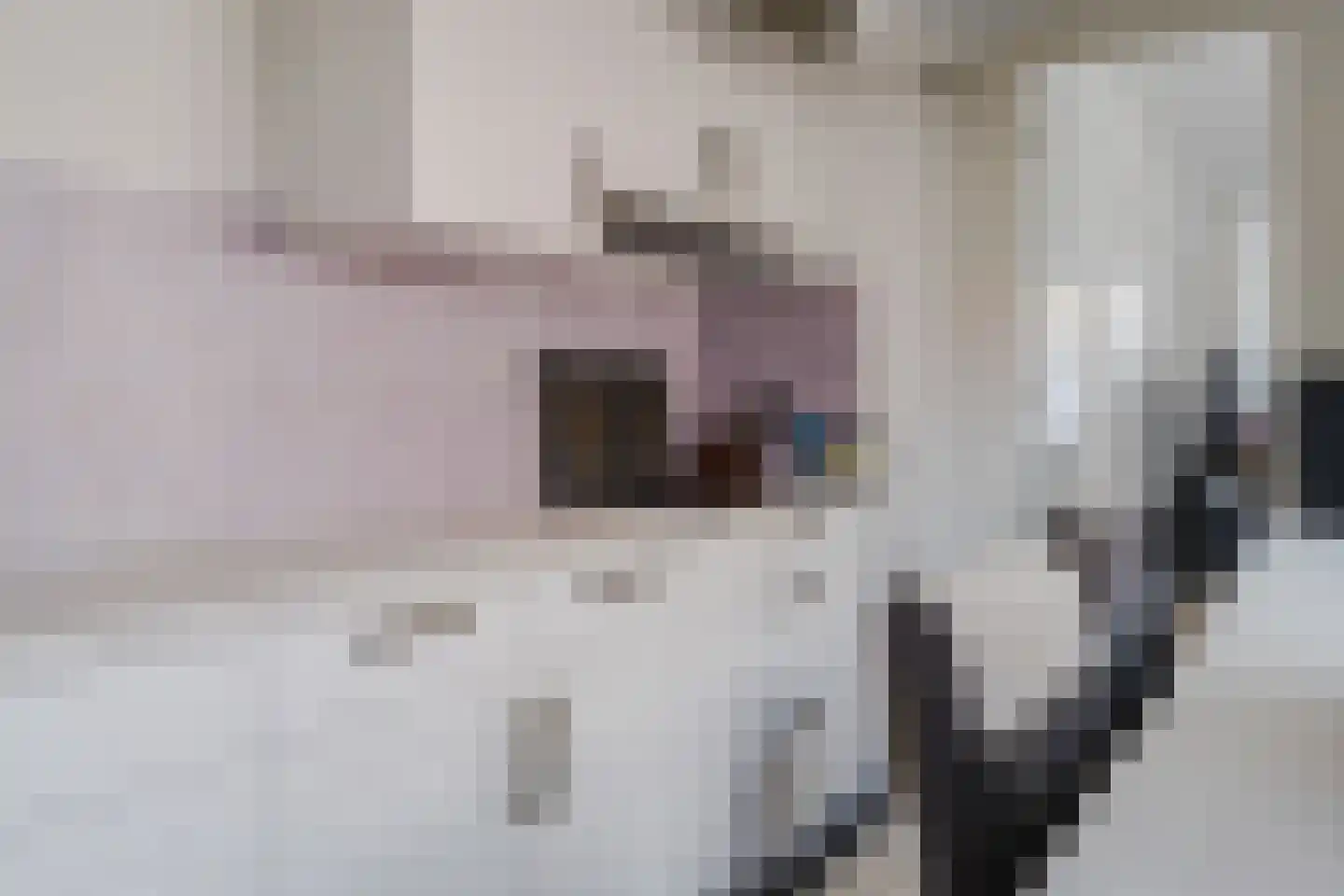 Dorpsstraat 929 Assendelft thumbnail 4