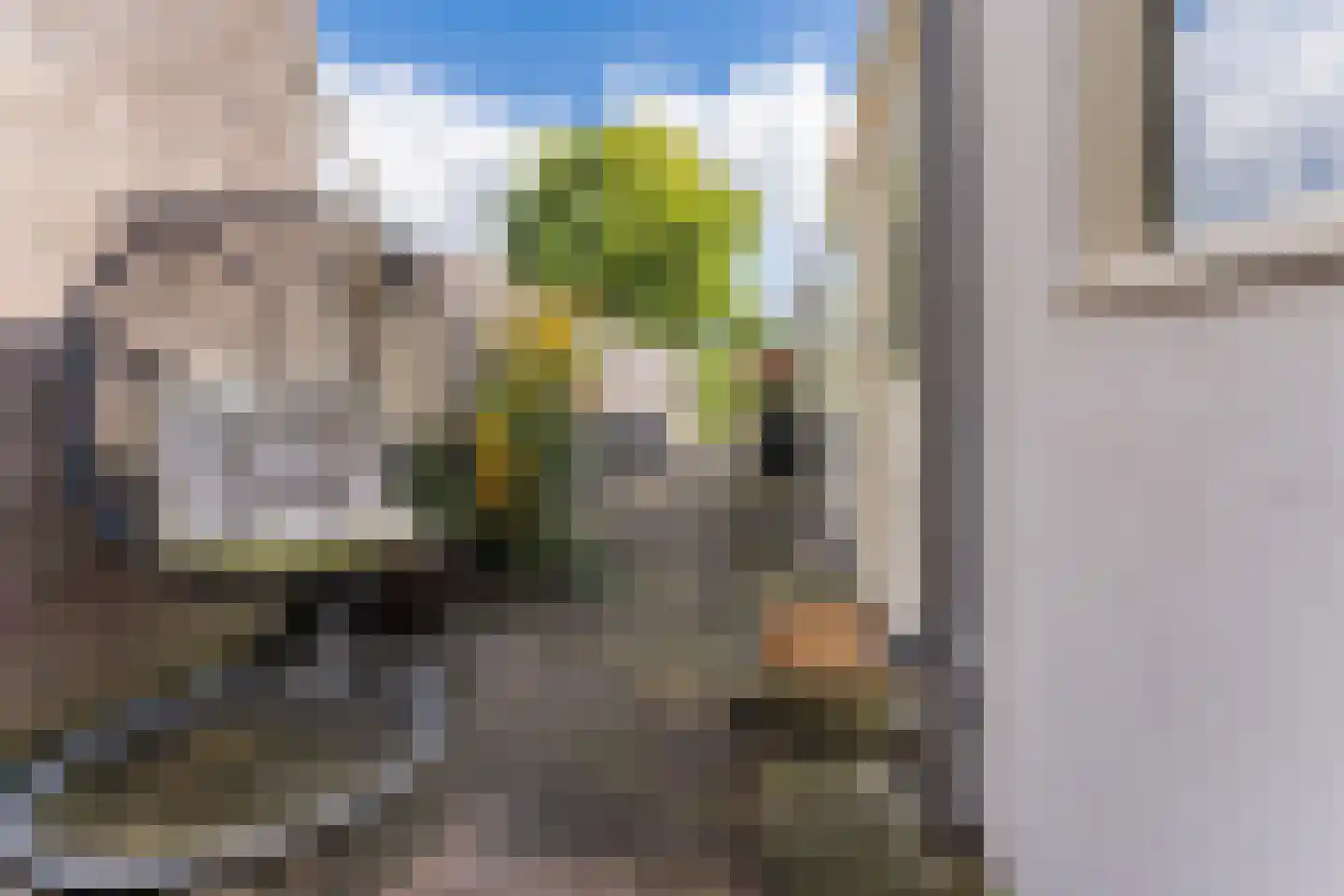 Dorpsstraat 929 Assendelft thumbnail 43