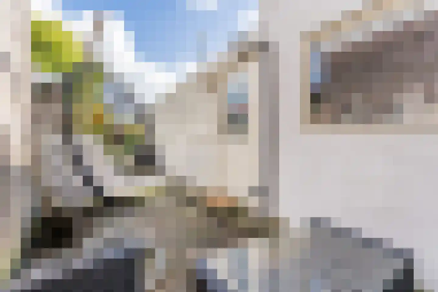 Dorpsstraat 929 Assendelft thumbnail 44
