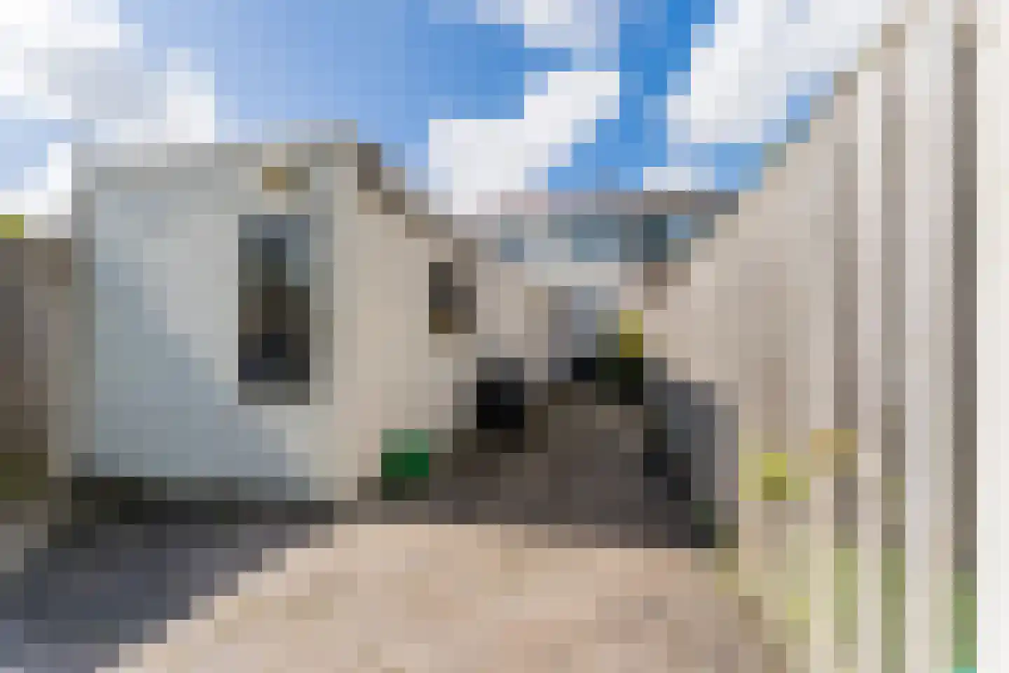 Dorpsstraat 929 Assendelft thumbnail 51