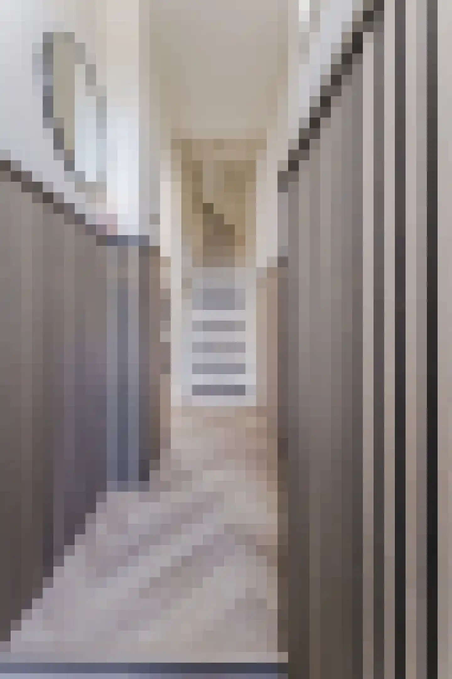 Dorpsstraat 929 Assendelft thumbnail 7