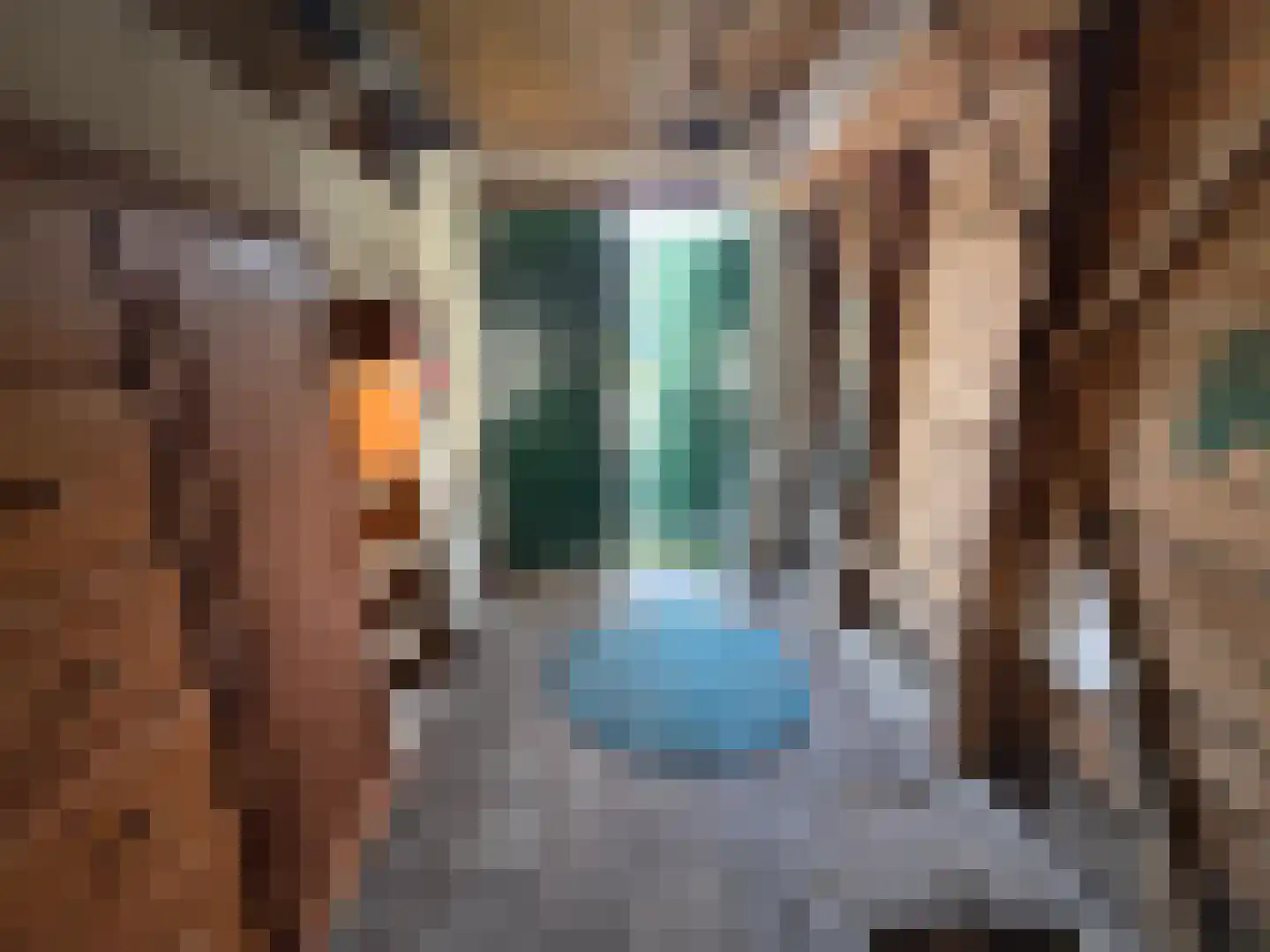 Dorpsstraat 929 NST Oudkarspel thumbnail 7