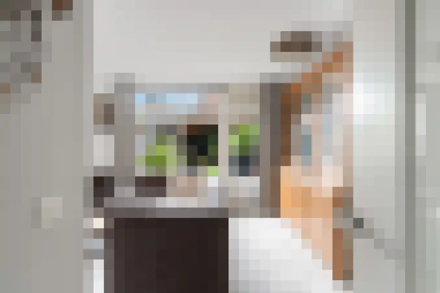 Dorpsstraat 93 Aarlanderveen thumbnail 11