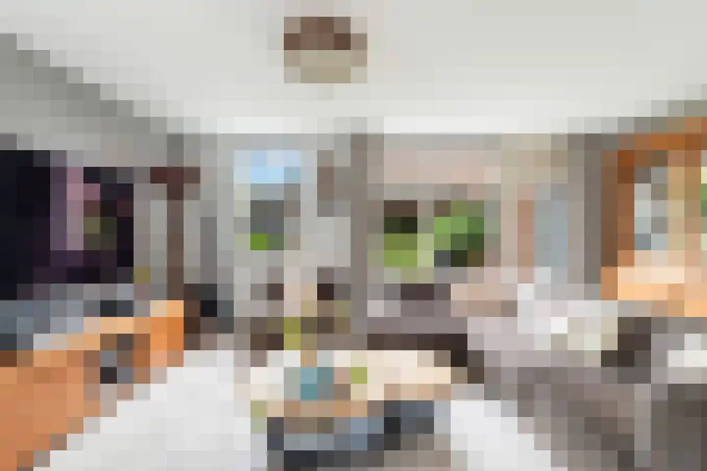 Dorpsstraat 93 Aarlanderveen thumbnail 12