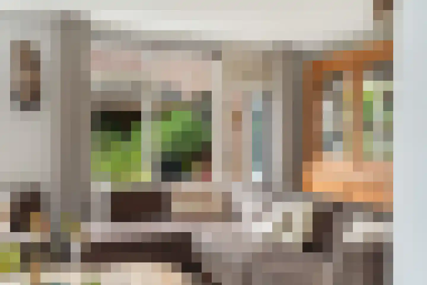 Dorpsstraat 93 Aarlanderveen thumbnail 16