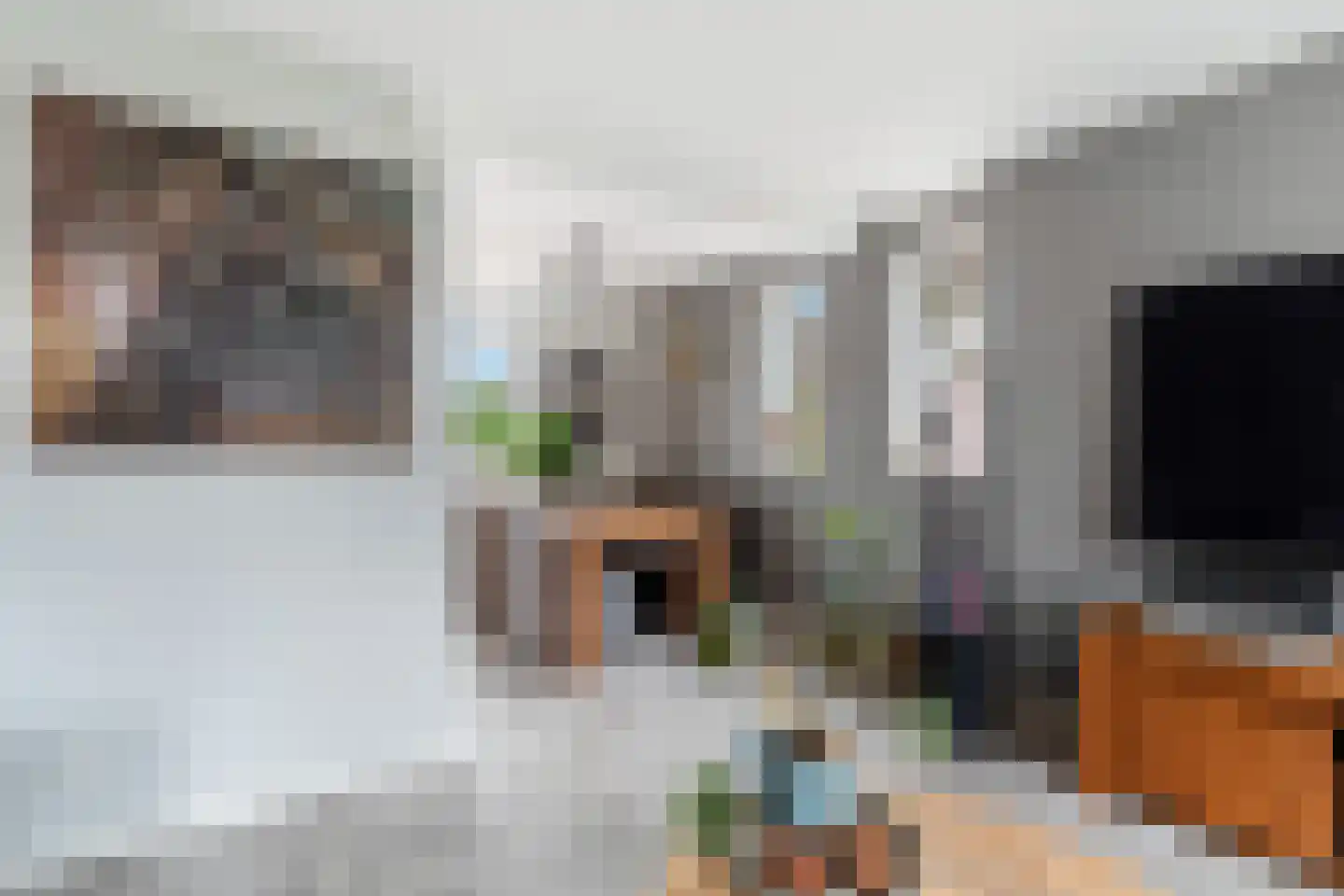 Dorpsstraat 93 Aarlanderveen thumbnail 19