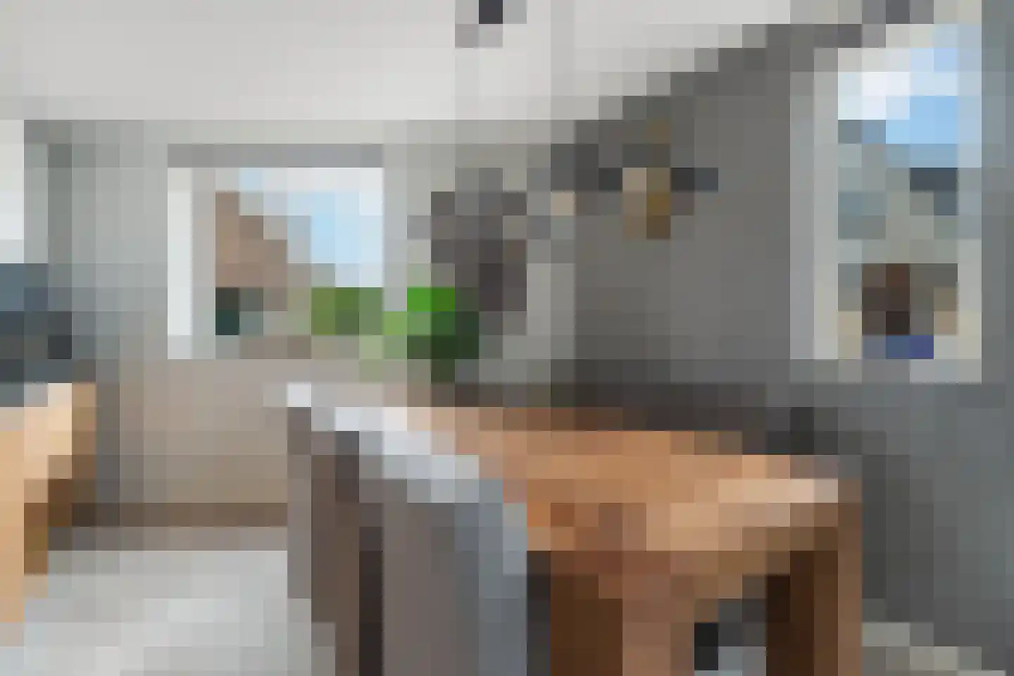 Dorpsstraat 93 Aarlanderveen thumbnail 21