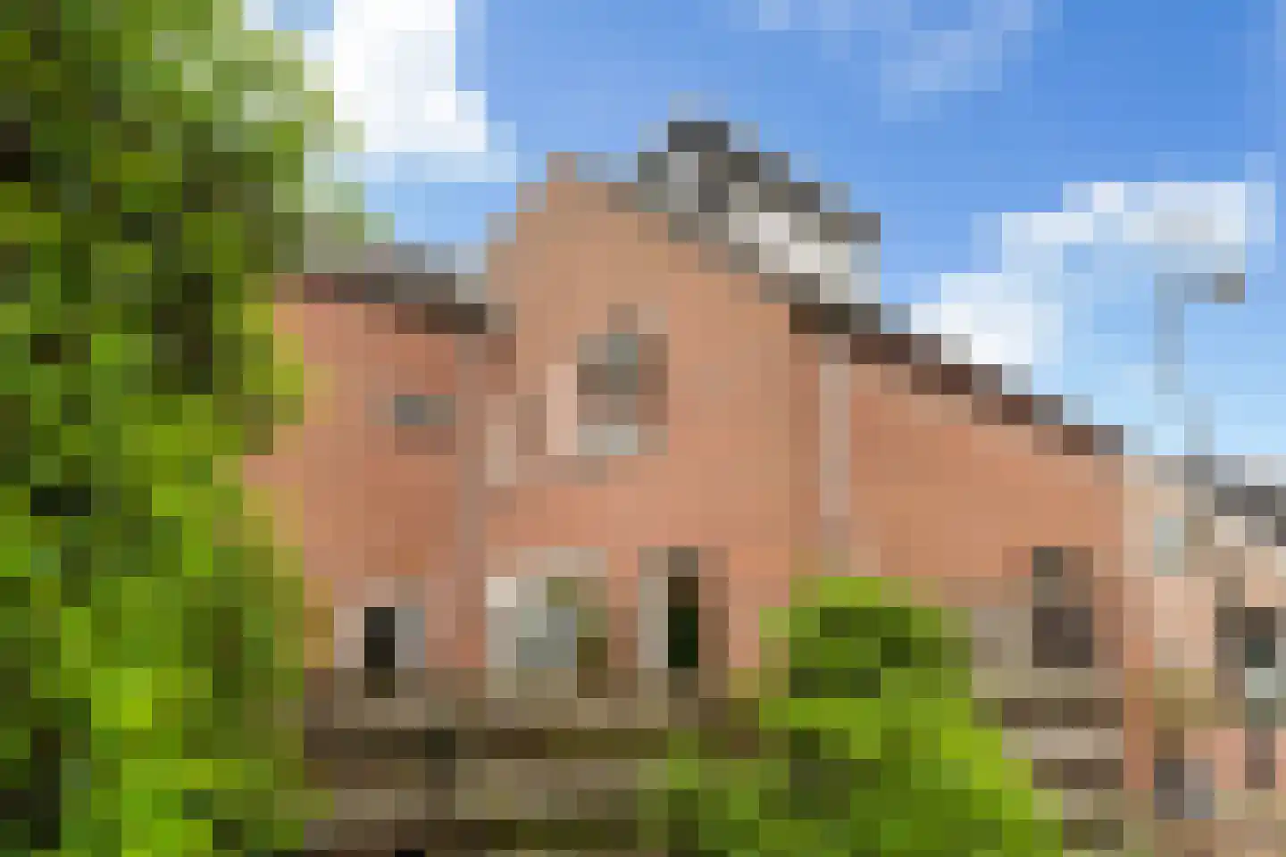 Dorpsstraat 93 Aarlanderveen thumbnail 35