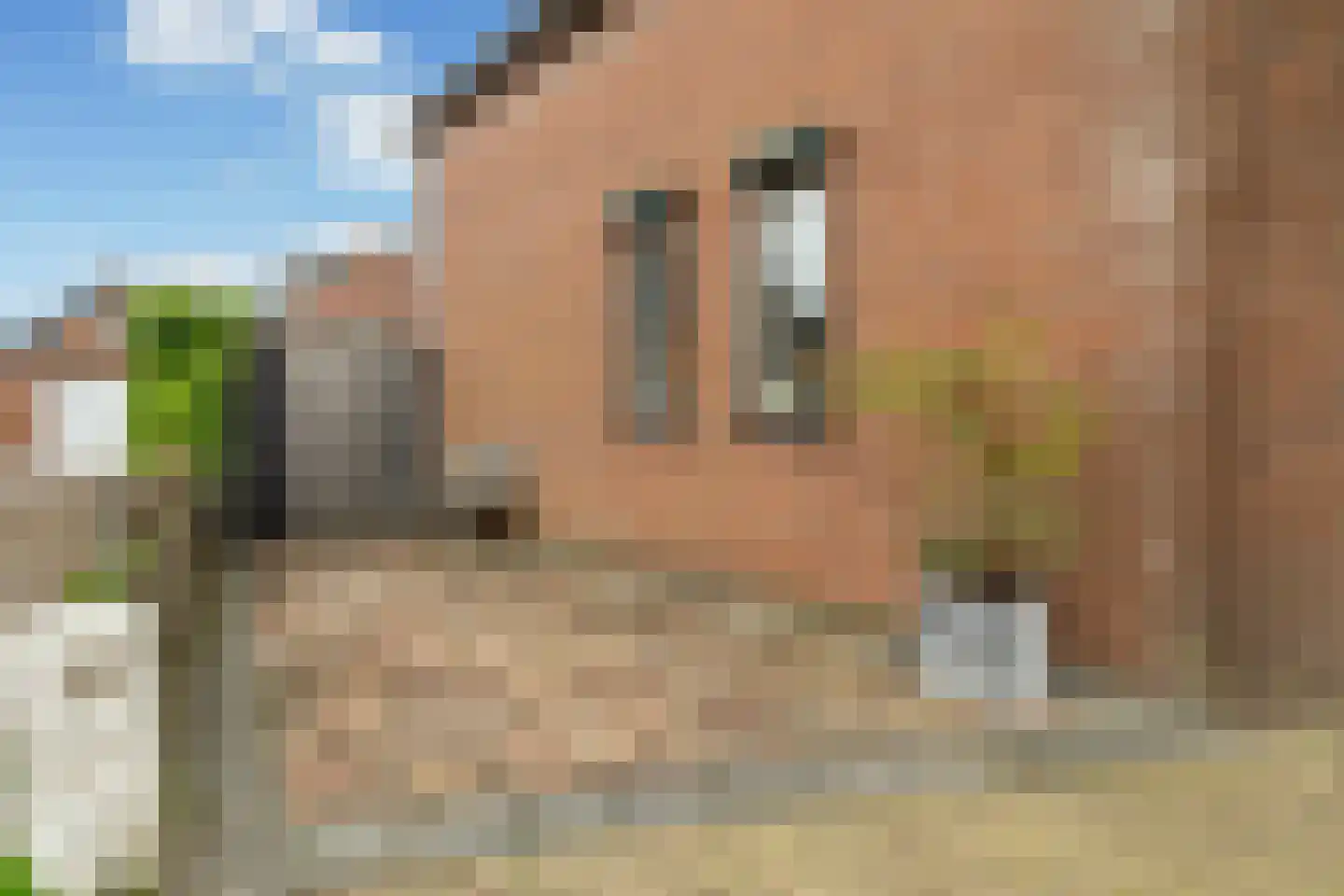 Dorpsstraat 93 Aarlanderveen thumbnail 37