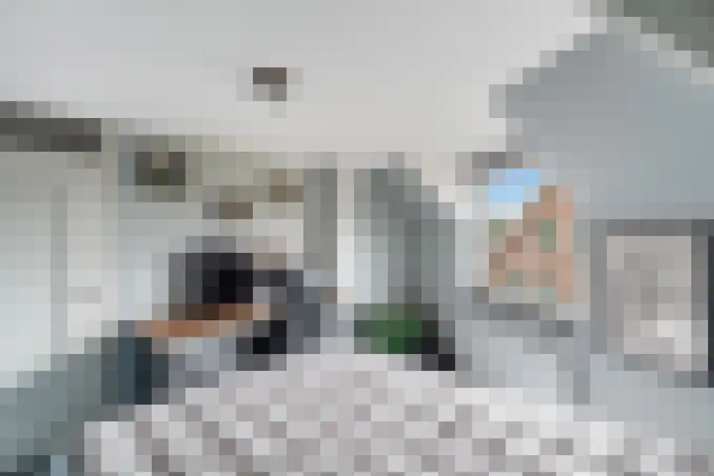 Dorpsstraat 93 Aarlanderveen thumbnail 45