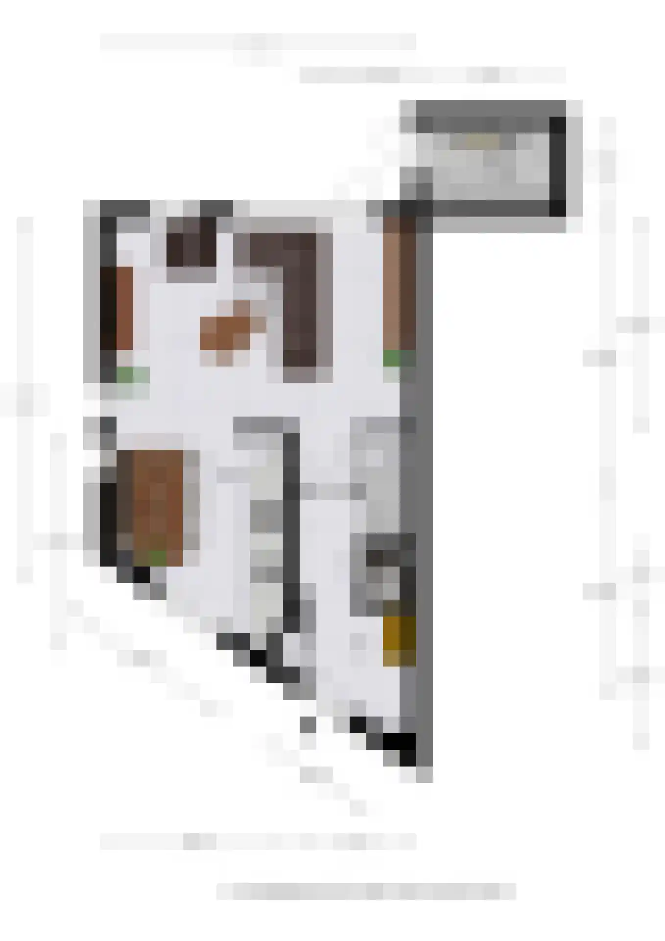 Dorpsstraat 93 Aarlanderveen thumbnail 61