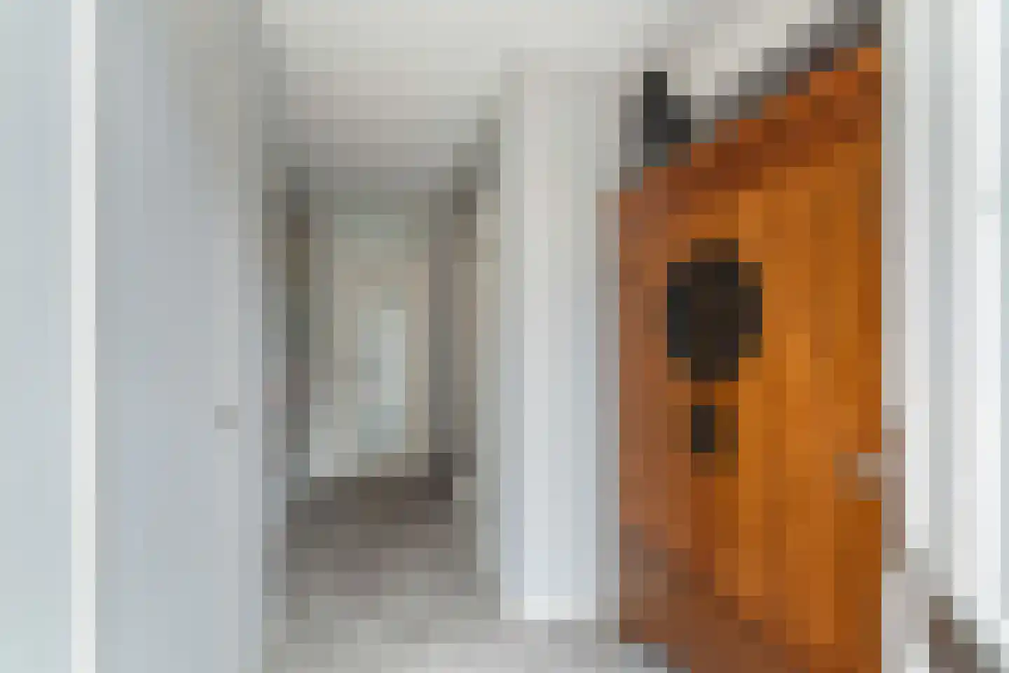 Dorpsstraat 93 Aarlanderveen thumbnail 8