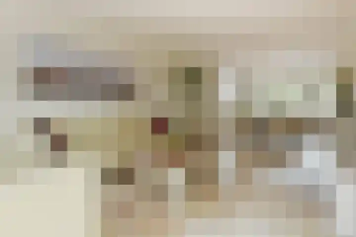 Dorpsstraat 93 Zevenhoven thumbnail 13