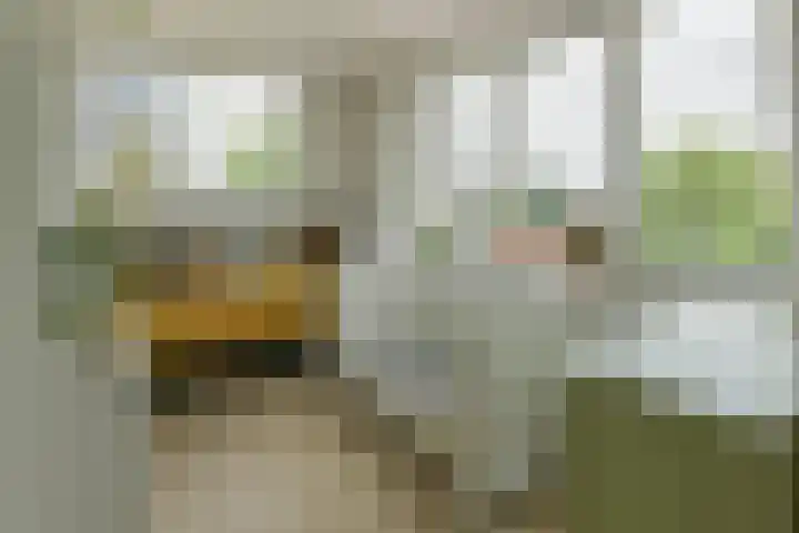 Dorpsstraat 93 Zevenhoven thumbnail 23