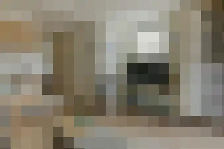 Dorpsstraat 93 Zevenhoven thumbnail 34