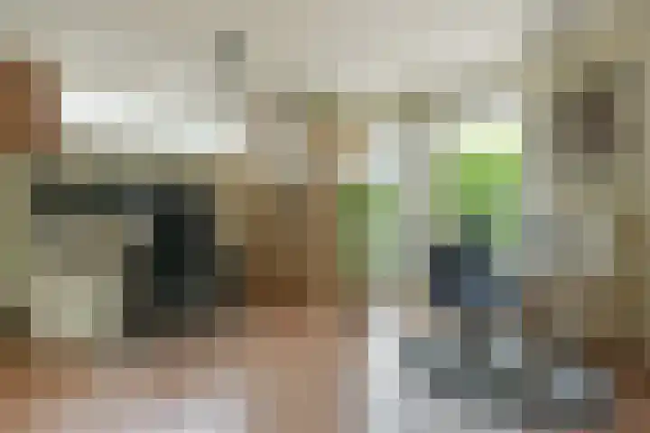 Dorpsstraat 93 Zevenhoven thumbnail 39