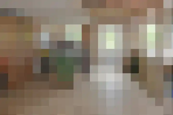 Dorpsstraat 93 Zevenhoven thumbnail 44