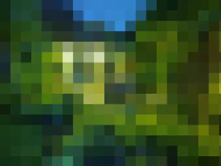 Dorpsstraat 93 Zevenhoven thumbnail 46