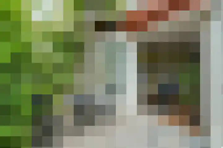 Dorpsstraat 93 Zevenhoven thumbnail 58