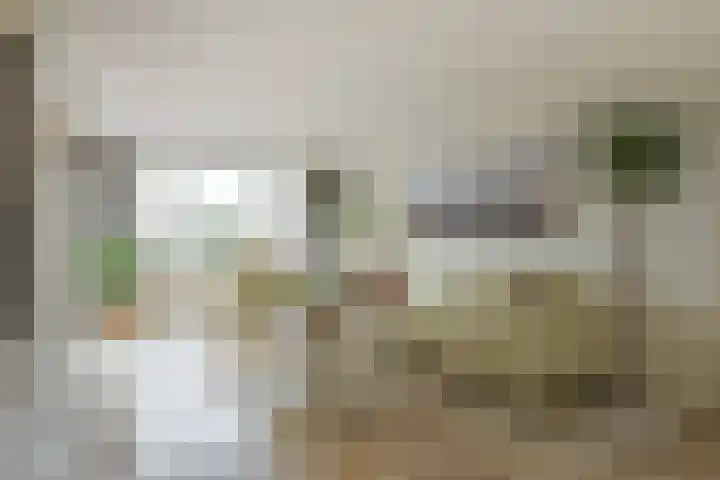 Dorpsstraat 93 Zevenhoven thumbnail 6