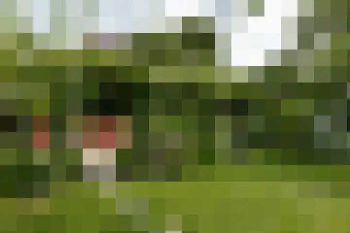 Dorpsstraat 93 Zevenhoven thumbnail 60