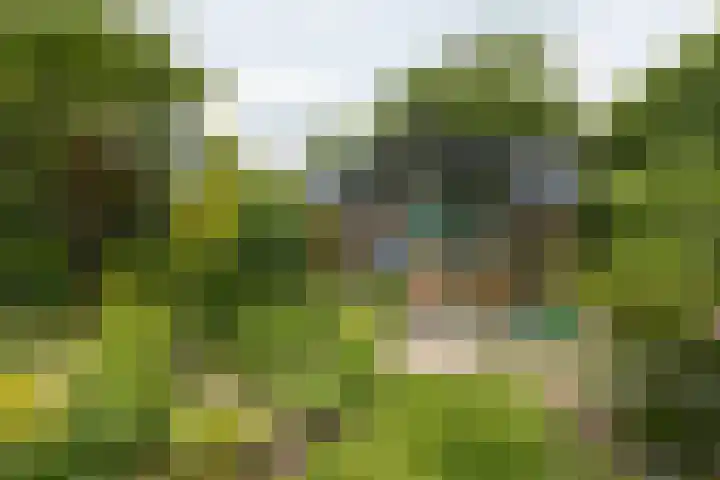 Dorpsstraat 93 Zevenhoven thumbnail 61