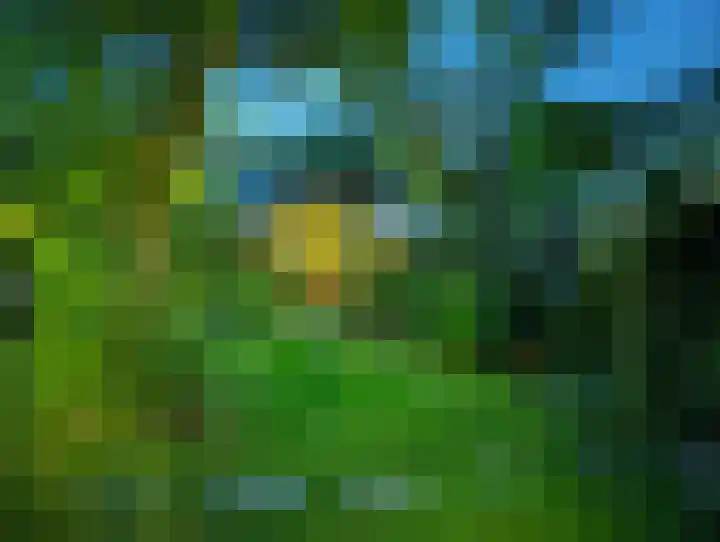 Dorpsstraat 93 Zevenhoven thumbnail 62