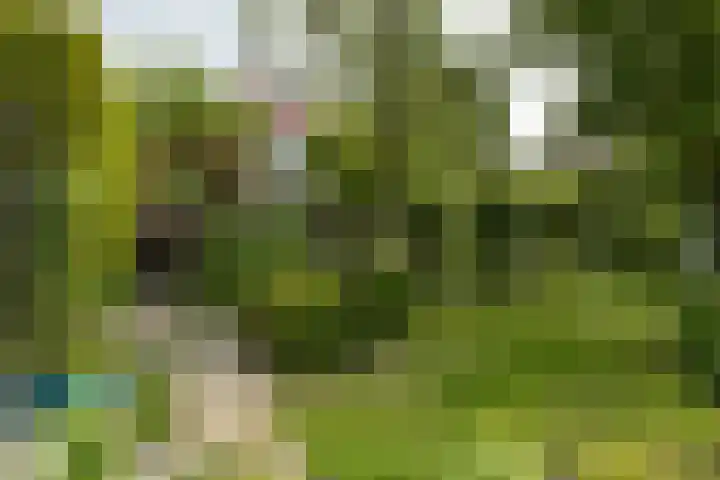 Dorpsstraat 93 Zevenhoven thumbnail 63
