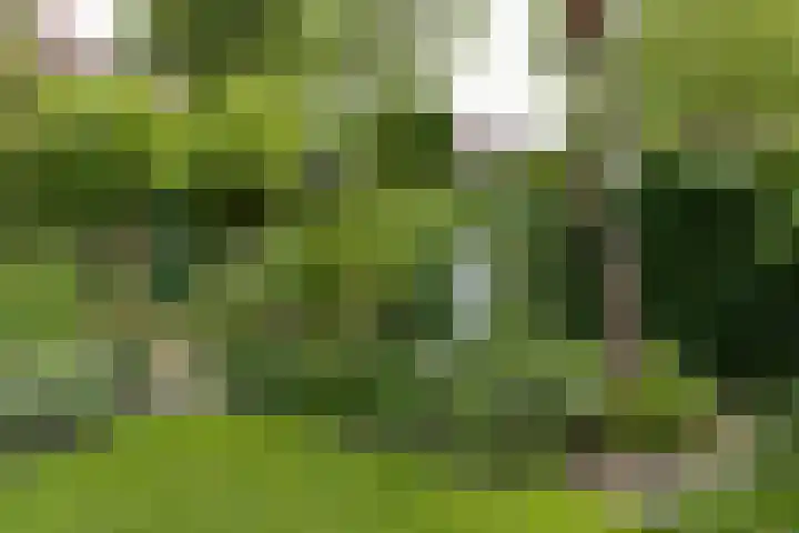Dorpsstraat 93 Zevenhoven thumbnail 64