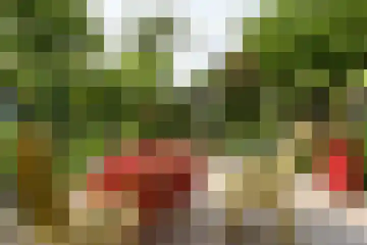 Dorpsstraat 93 Zevenhoven thumbnail 66