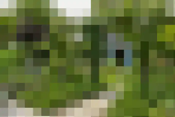 Dorpsstraat 93 Zevenhoven thumbnail 67