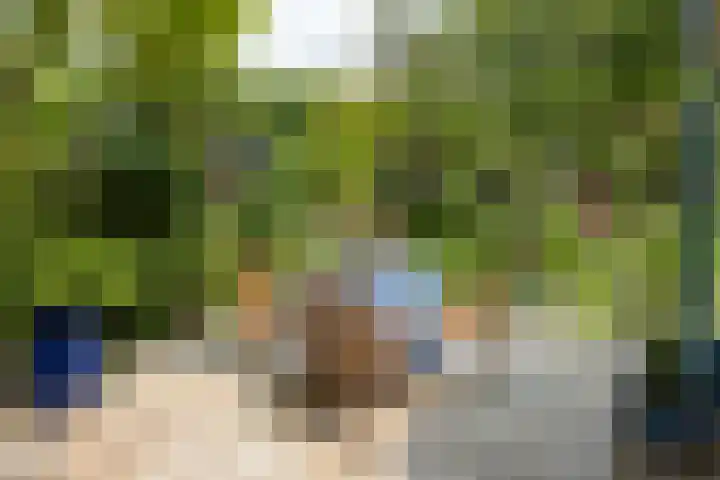 Dorpsstraat 93 Zevenhoven thumbnail 69