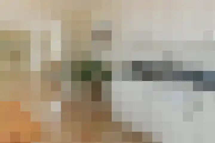 Dorpsstraat 93 Zevenhoven thumbnail 7