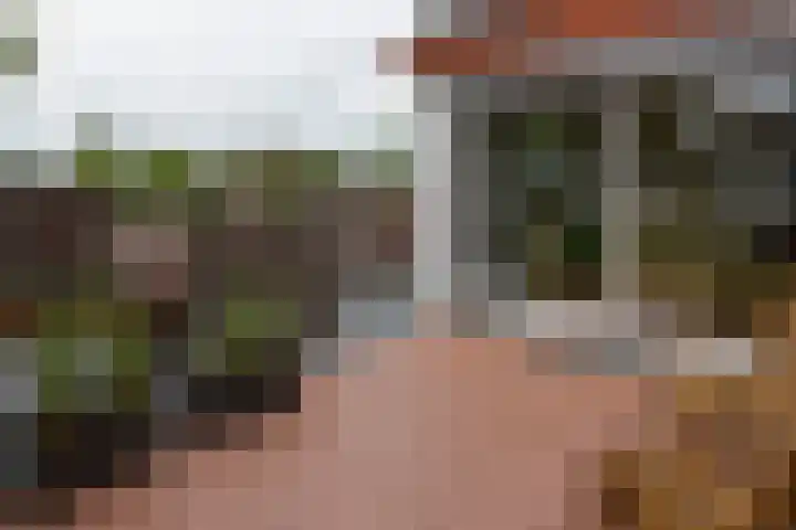 Dorpsstraat 93 Zevenhoven thumbnail 74