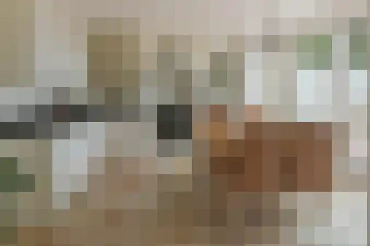 Dorpsstraat 93 Zevenhoven thumbnail 8